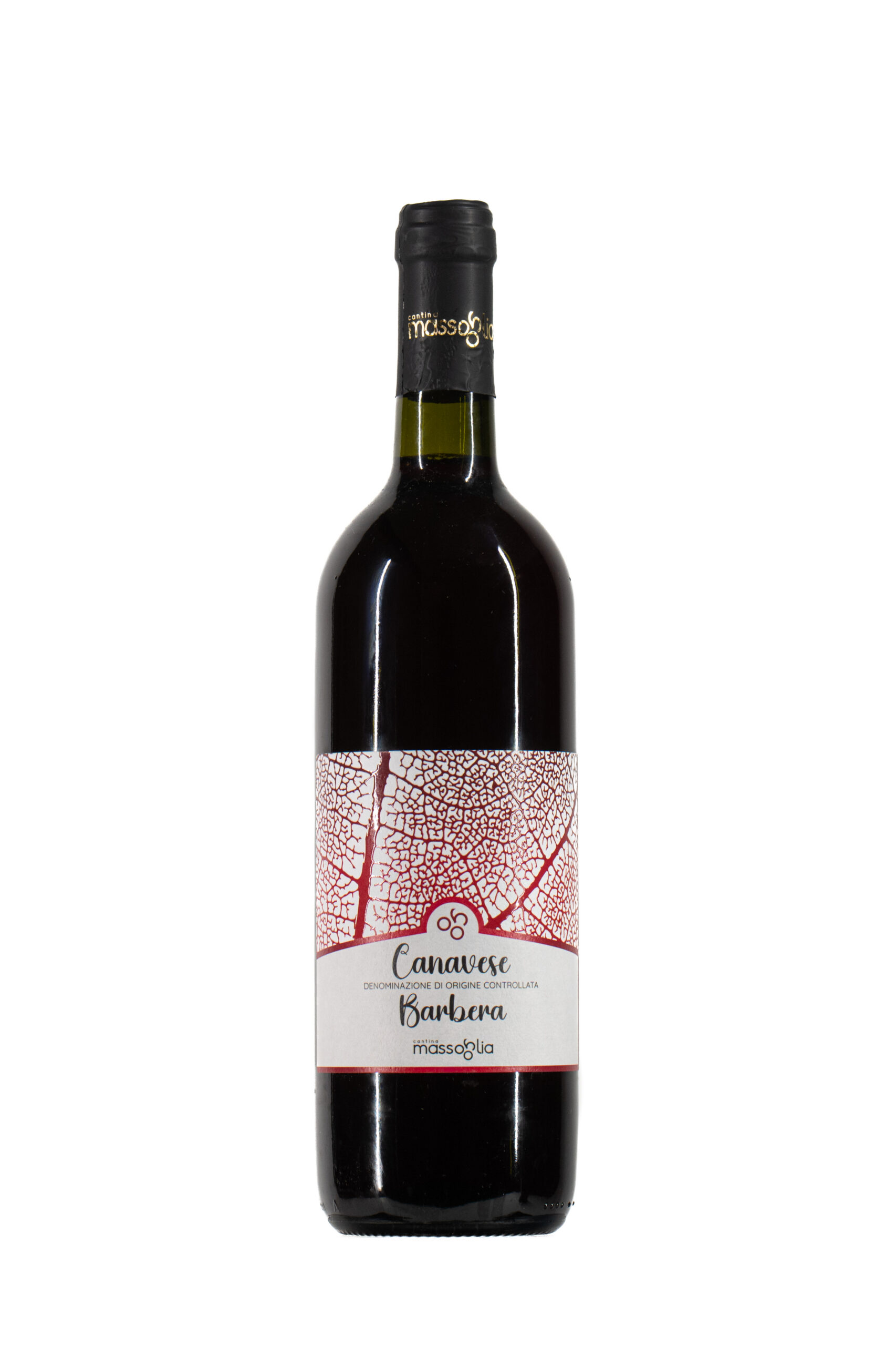 Canavese DOC Barbera - CANTINA MASSOGLIA