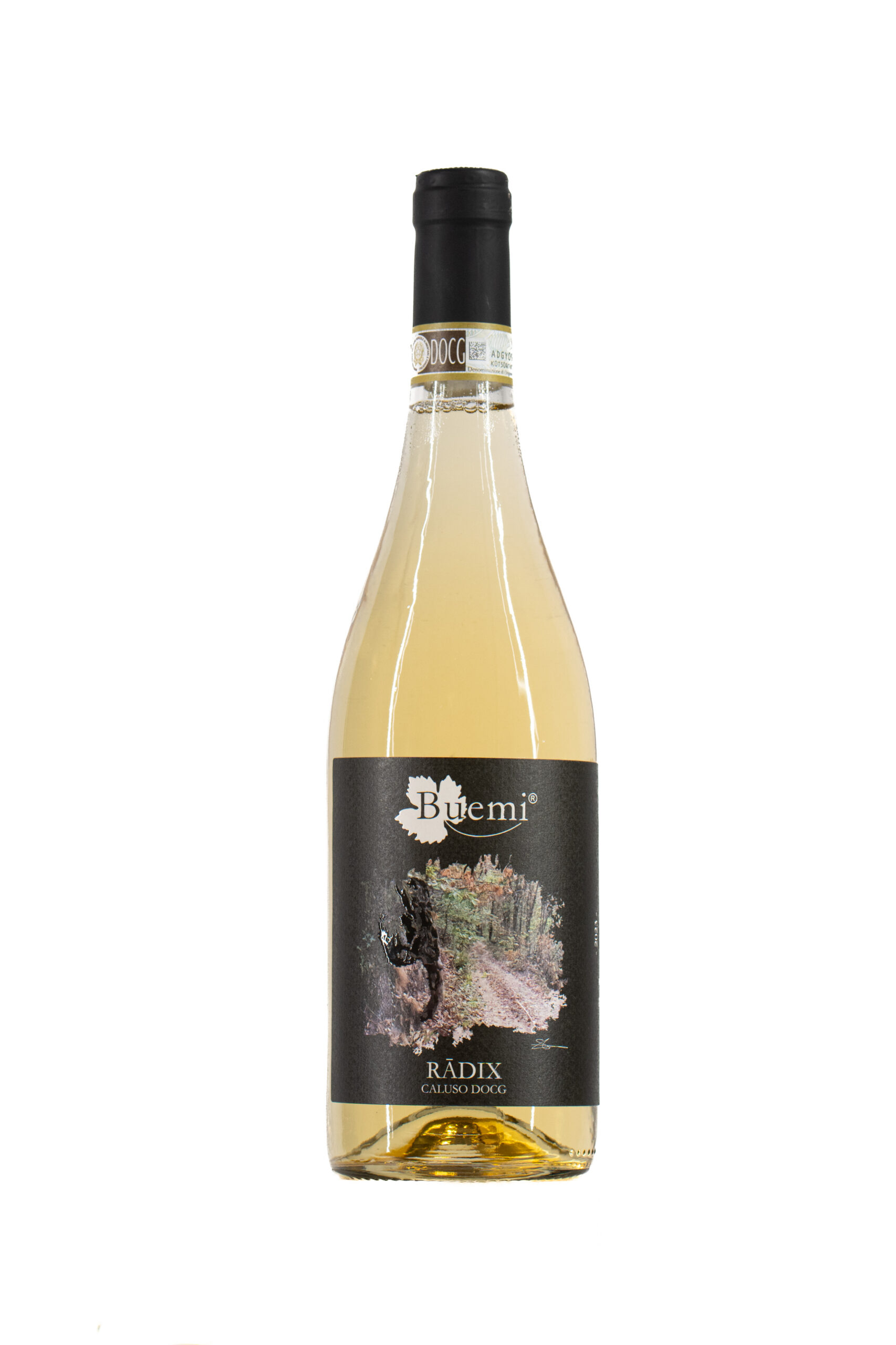 Erbaluce di Caluso DOCG - Radix - GESIUN - BUEMIVINI